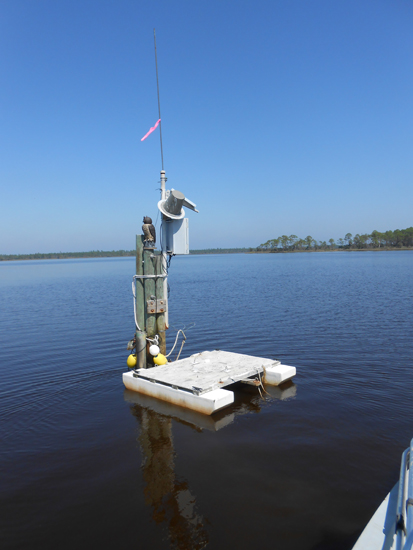 Tide Chart Apalachicola Bay